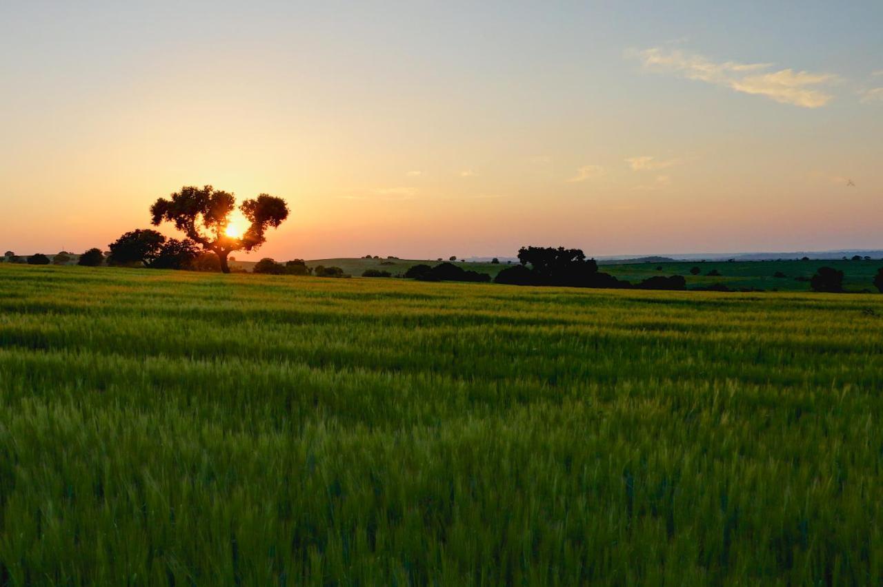 Holiday home A Janela Do Alentejo *